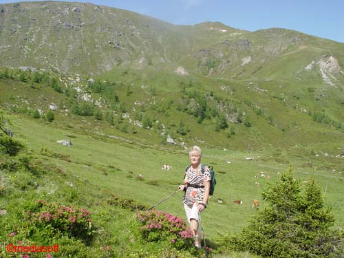 klosterneuburgerhtt012