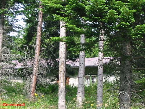 steineck_plaetten004