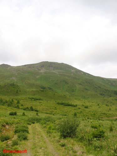 steineck_plaetten010