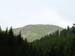 steineck_plaetten003