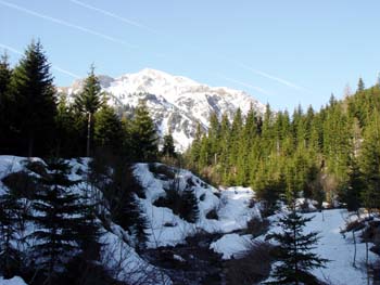 Hohenwart_22.04.04 007